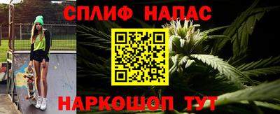 сатива Сланцы