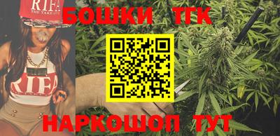 сатива Сланцы