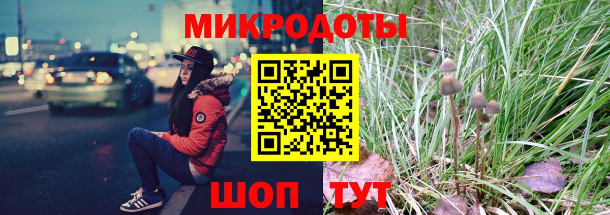 Псилоцибиновые грибы мухоморы  где продают   Тольятти  Вход с VPN 